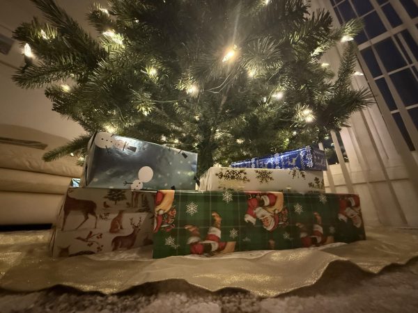 Presents sit under a lit Christmas tree. Whether you are giving gifts for Christmas, Hanukkah, or another upcoming holiday, here is a gift giving guide to send you in the right direction.